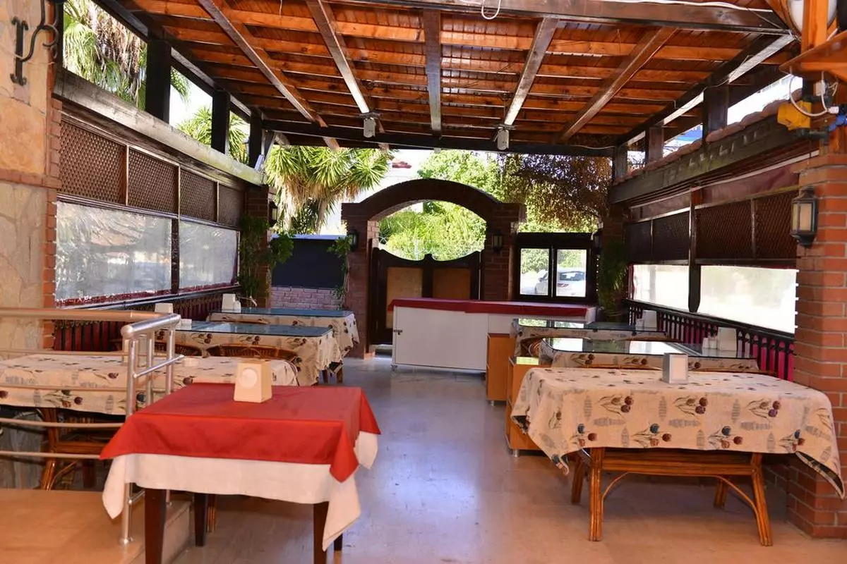 orange garden8 (Copy).jpg